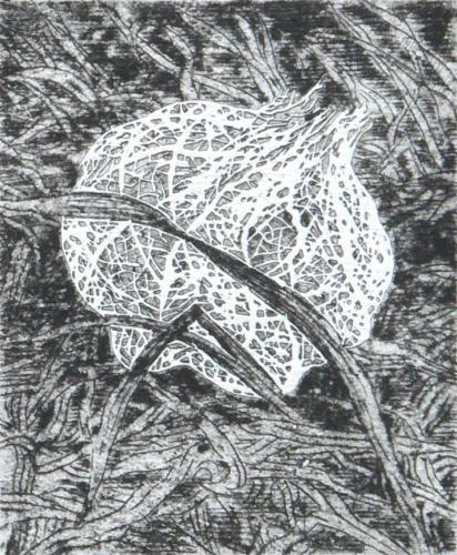 Mochna